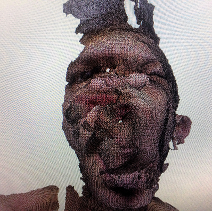 Interrupted 3D scan by artist Paul Coombs